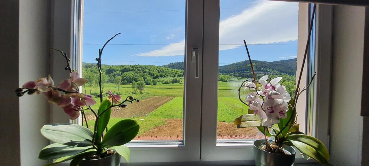 Apartmani Fenestra Tesla I Faust Otočac Buitenkant foto