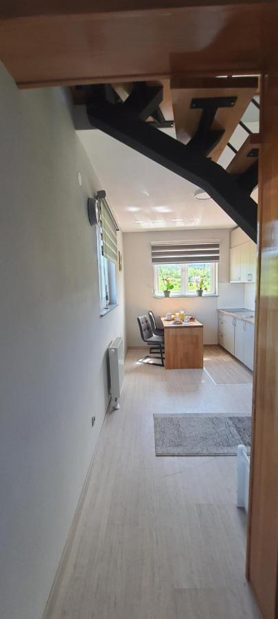 Apartmani Fenestra Tesla I Faust Otočac Buitenkant foto