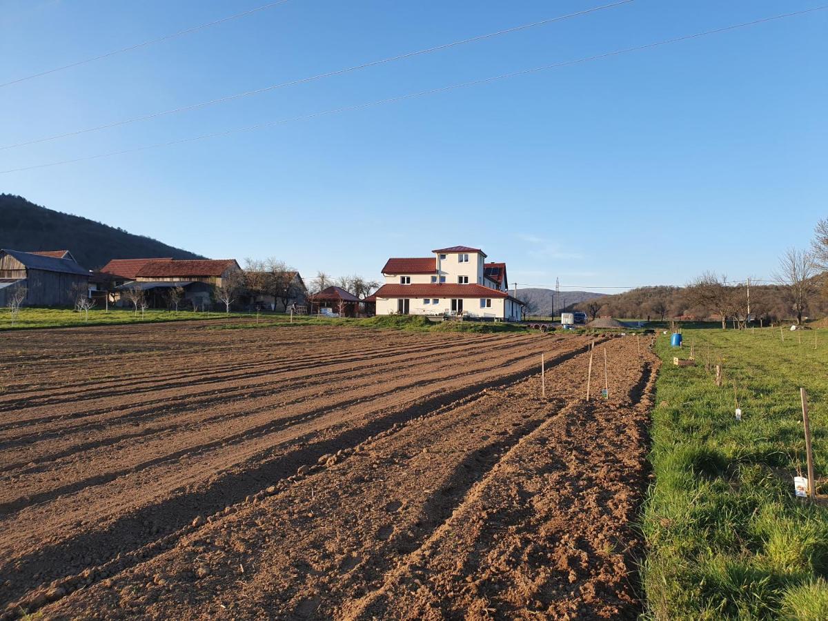 Apartmani Fenestra Tesla I Faust Otočac Buitenkant foto