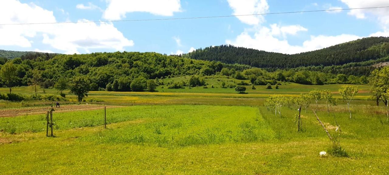 Apartmani Fenestra Tesla I Faust Otočac Buitenkant foto